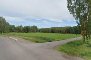 En stor gräsyta med träd i bakkant och en väg i framkant